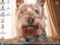 How to install cracked ipa\