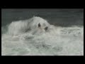 Backwash - A Moss Production Backwash - A Moss Production