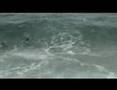 Backwash - A Moss Production