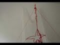 Patrimony. at the SPACE - Adele Todd