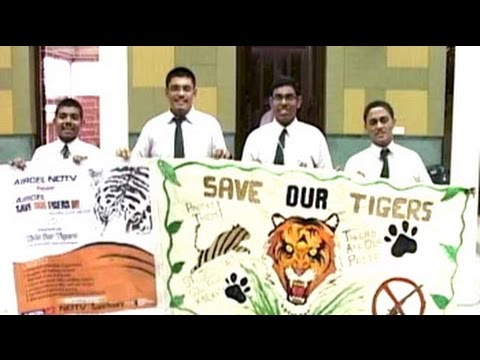 World Tiger Day: Art competition