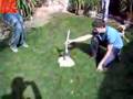 videos de el proyecto Mentos