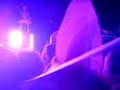 Animal Collective Dance Party?!?