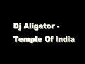 DJ Aligator - Temple Of India Manele-Gratis.net