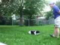 Logan`s tricks Part III