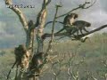 Michel y Valderrama en la jungla