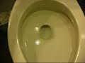 By Request: My oldest \"Standard\" Toilet (American Standard Plebe)