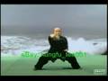 Shaolin & Taoist Health QiGong: Ba Duan Jin KF518-3 eBay