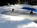 Cats Play Ice Hockey