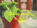 الرحـــيل