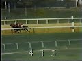 Affirmed vs Alydar - 1977 Laurel Futurity (6th Meeting)