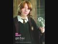 Triwizard Tournament!! New forum