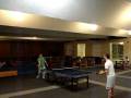 Nerney pong