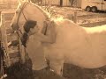 How To Get On A Horse Indian-Stlye
