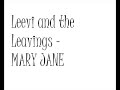 Leevi and the Leavings - Mary Jane