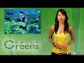 Daily Greens 90 - Got Jugs?