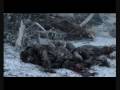 Tribute to Forgotten Soldiers