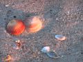 .Ocracoke Island, North Carolina..wmv