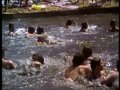 Piranha - TRAILER - 