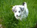 You will be for ever in my heart little Nia...