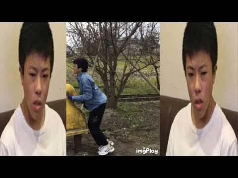 動画