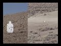 Long Range Shooting -- 860yd .223 w/target cam Long Range Shooting -- 860yd .223 w/target cam