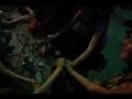 videos de lucky dragons performing 