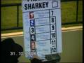 videos de waterford greyhounds