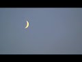 Search Video