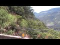 200806 南橫毛地黃 19 人 18 台車
