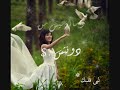 ميامي - انتي امي