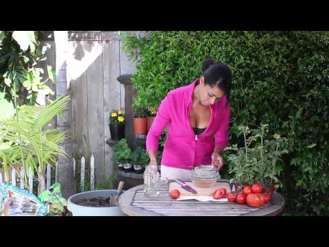 how to harvest tomato seeds for next year