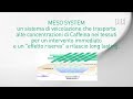Dibi Meso System