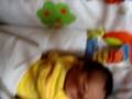 raj-ahan-king-of-the-dawn.html