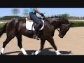 Click here to watch this video torro 25 mei.wmv