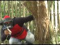 Paintball realizado em Benfica-Pará com a galera do Detran-pa.