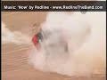 Crash Compilation of V8 Supercars - music by Redline