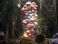 Chihuly Part 3 - The New York Botanical Garden