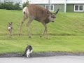 YouTubeサムネイル[7BWlyqEwSWA] - 2枚目