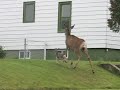 YouTubeサムネイル[7BWlyqEwSWA] - 3枚目