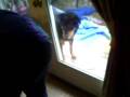 videos de booboos mad cleaning.AVI