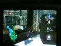 Zelda-TP-Entering-a-
