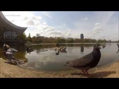 london travel HD Emad Alhezami – عماد الحزامي