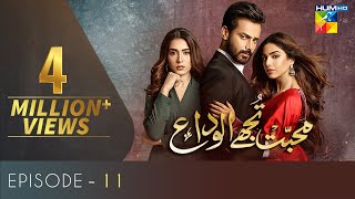 Mohabbat Tujhe Alvida Episode 11 HUM TV Drama 26 A