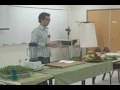 Les fruits et les légumes: la base de l'alimentation