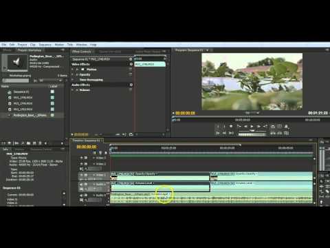 Tutorial adobe premiere pro bahasa indonesia pdf