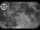levis moon  cgcm 