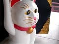 nekodemocomamana.html