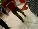 baile electro