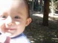 mi primer a�o